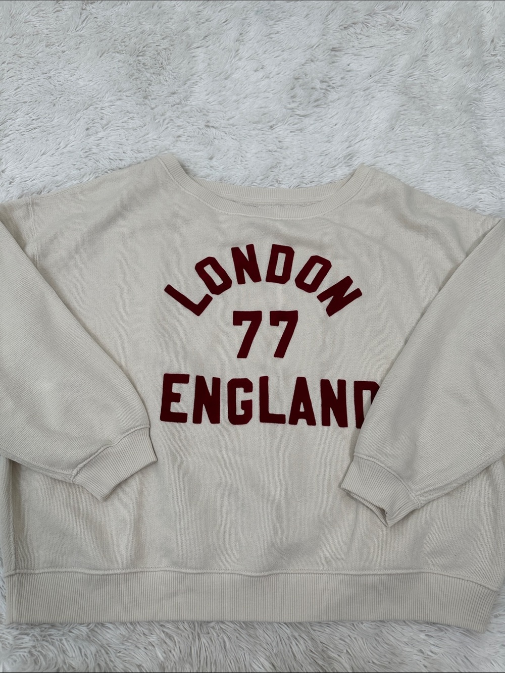 🏰 American Eagle Oversized Sweatshirt